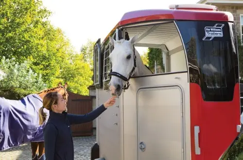 horse van – ifor williams – hbx 506 – 2 horse – new horse van – ifor williams – hbx 506 – 2 horse – new