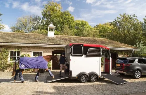 horse van – ifor williams – hbx 506 – 2 horse – new horse van – ifor williams – hbx 506 – 2 horse – new